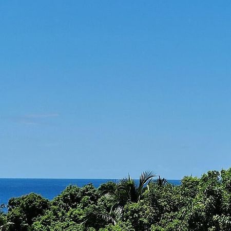 Joli T2 En Bas De Villa Vue Jardin Et Mer Vieux-Habitants Exteriér fotografie